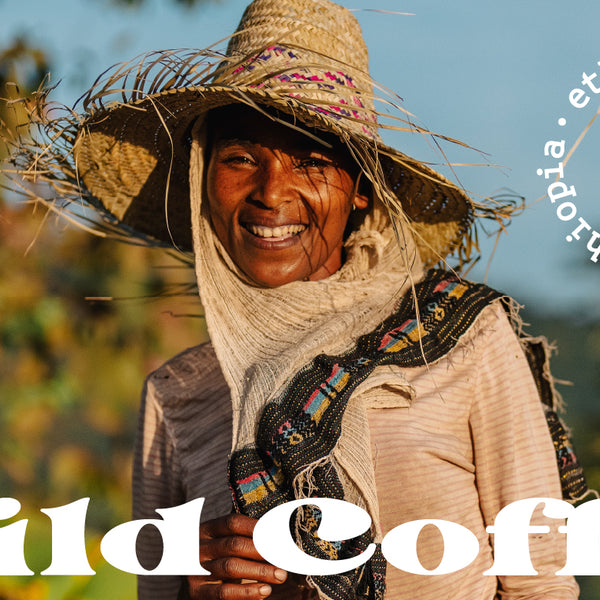 WILD COFFEE- エチオピアコーヒー – BLUE SIX