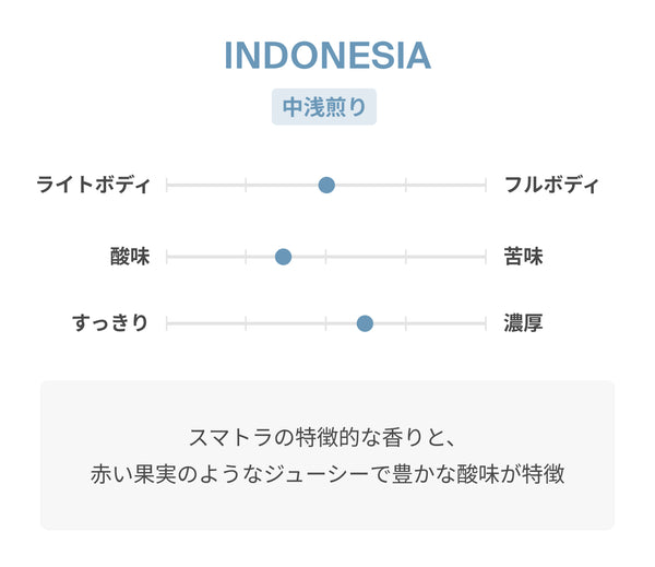 INDONESIA ドリップバッグ